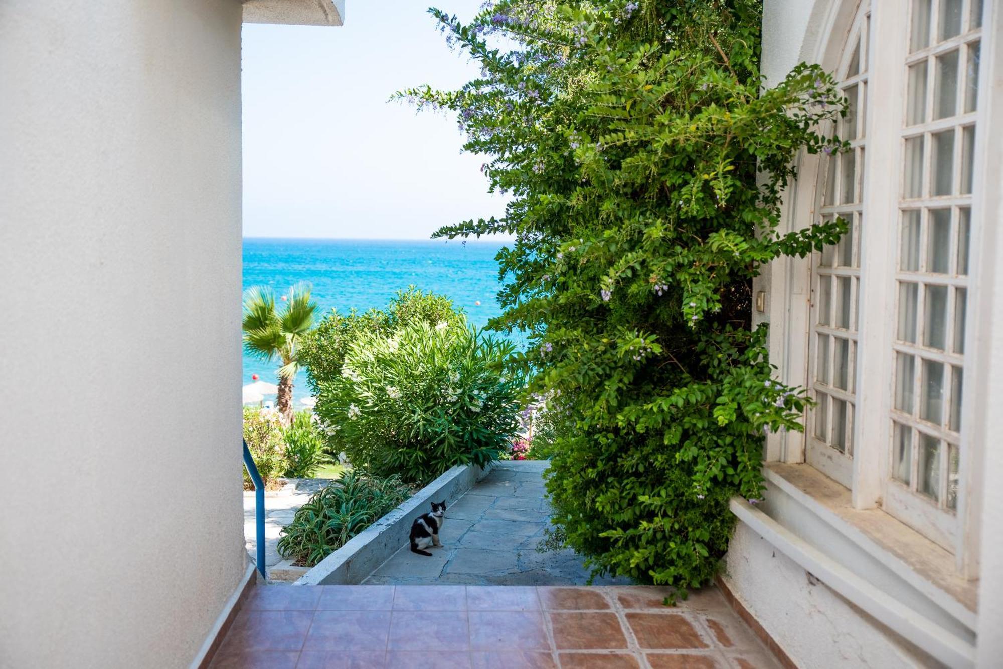 Pissouri Bay Studio Екстер'єр фото